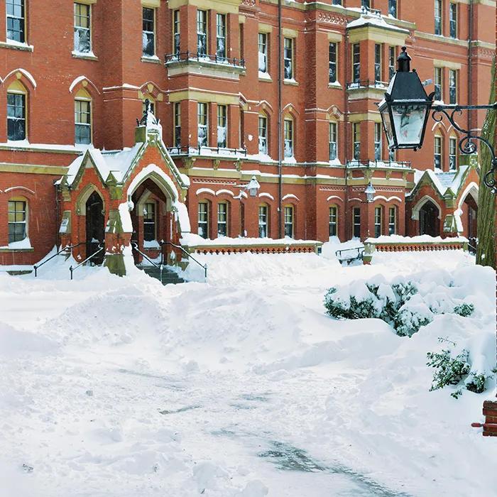 A winter fairy tale