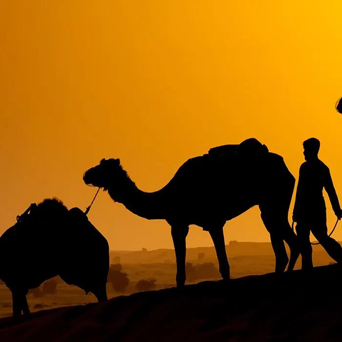 Camel ride through the desert