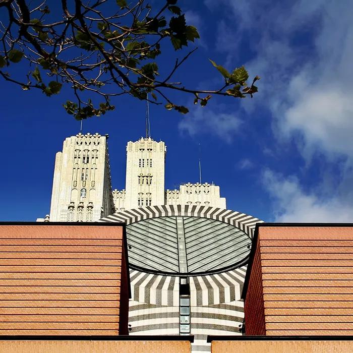The eye-catching SFMOMA