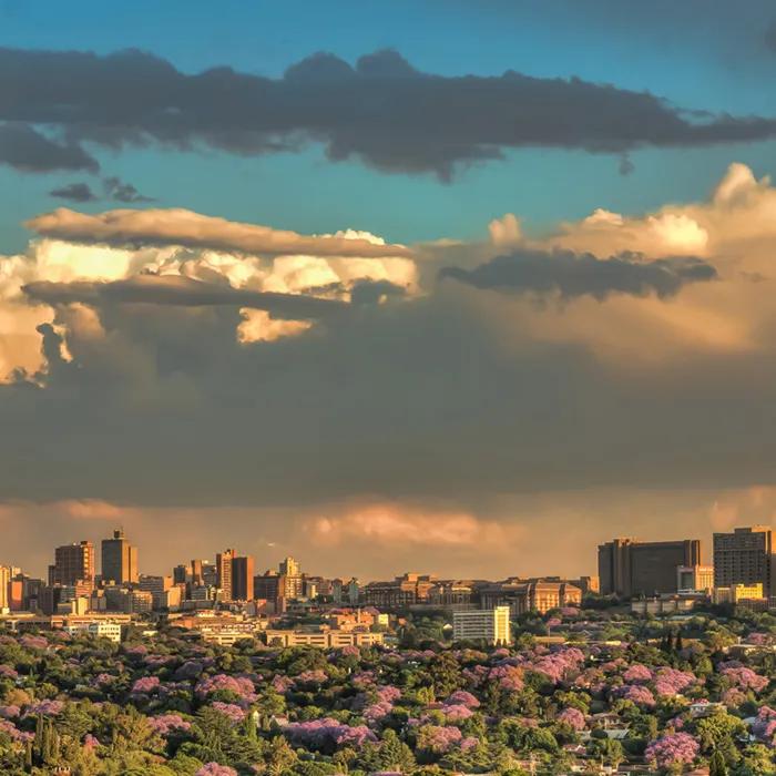 The view from the Melville Koppies