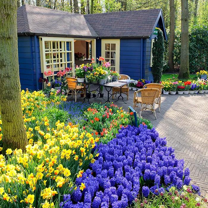 The flower store inside Keukenhof