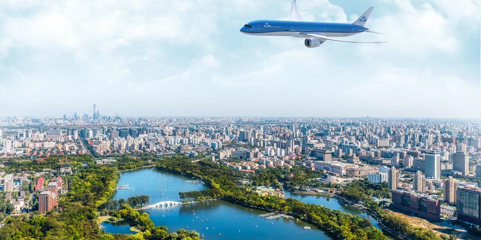 Which flies above the city.