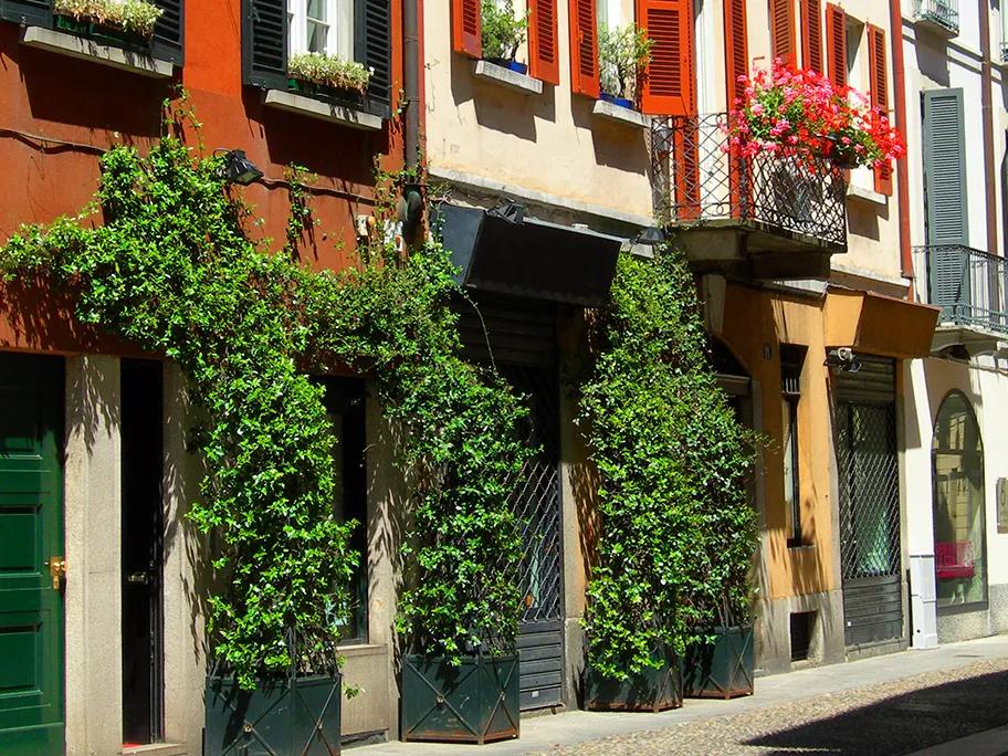 Cosy shopping on via Brera