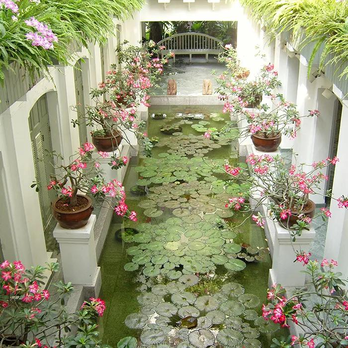 Indoor garden at The Oriental Spa