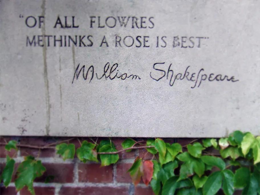 Shakespeare was also very fond of roses