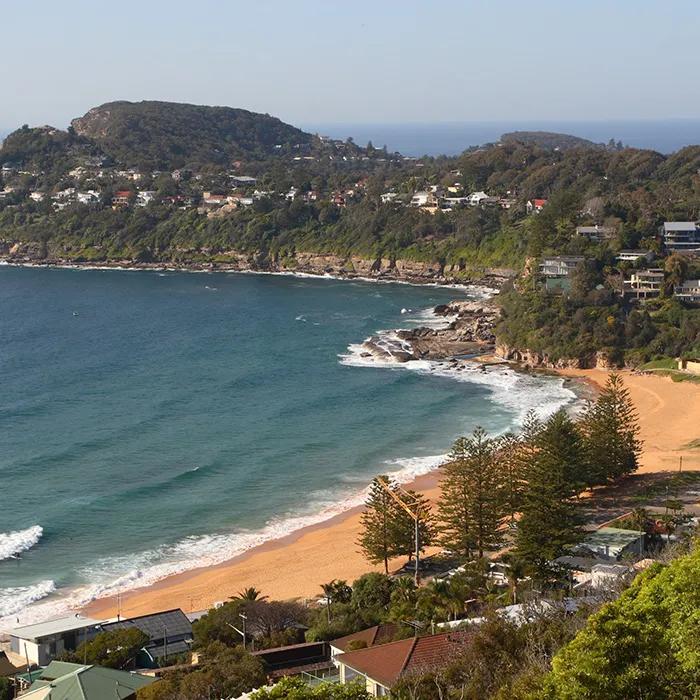 Whale Beach