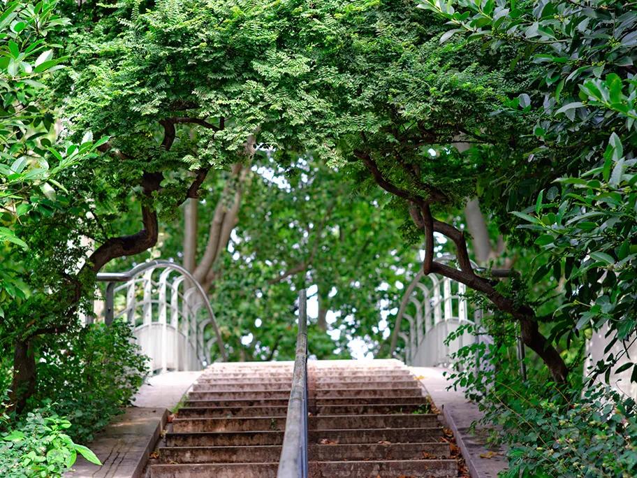Parc de Bercy