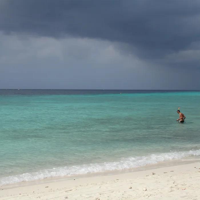 Step off the beach and snorkel