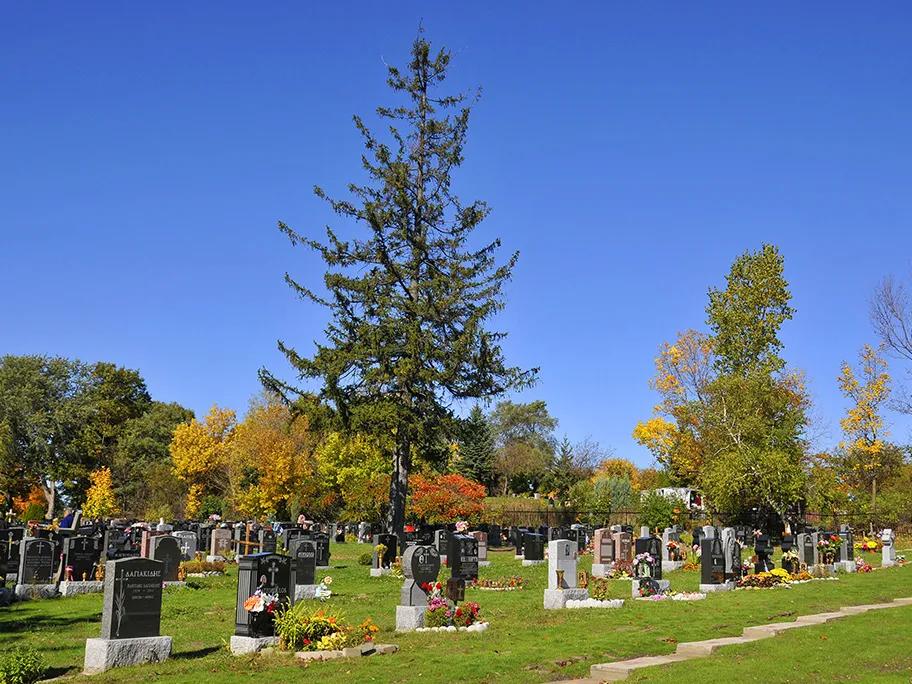 Cimetière Notre-Dame-des-Neiges