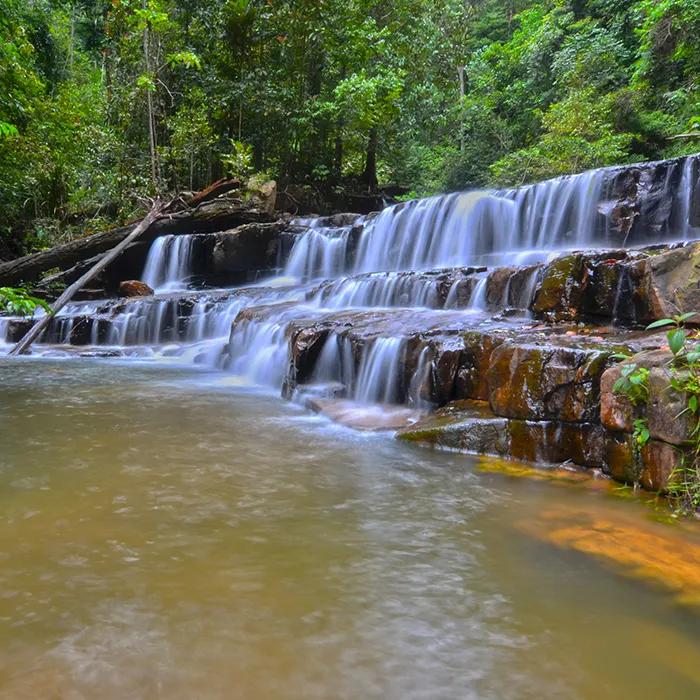 A natural swimming pool