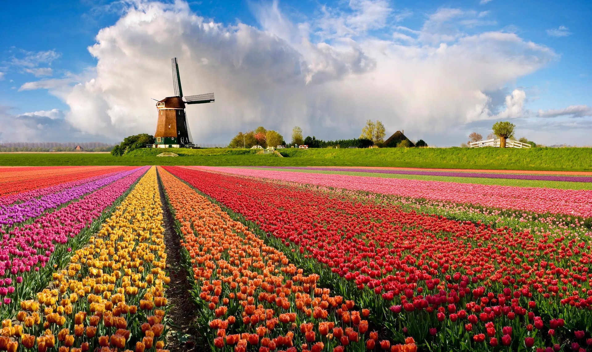 KLM Royal Dutch Airlines