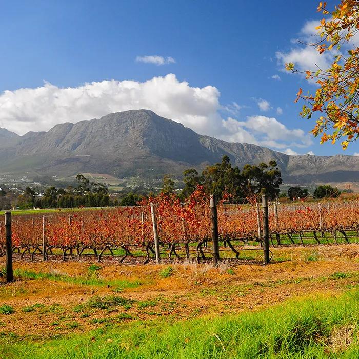 Franschhoek