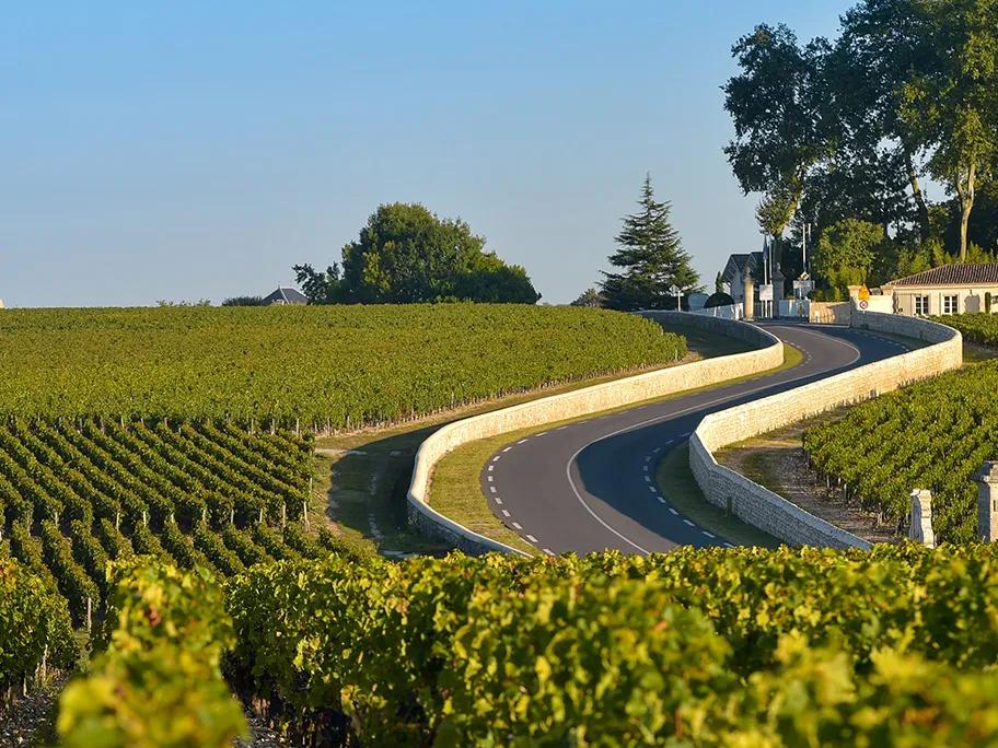 The Médoc, flowing towards the ocean