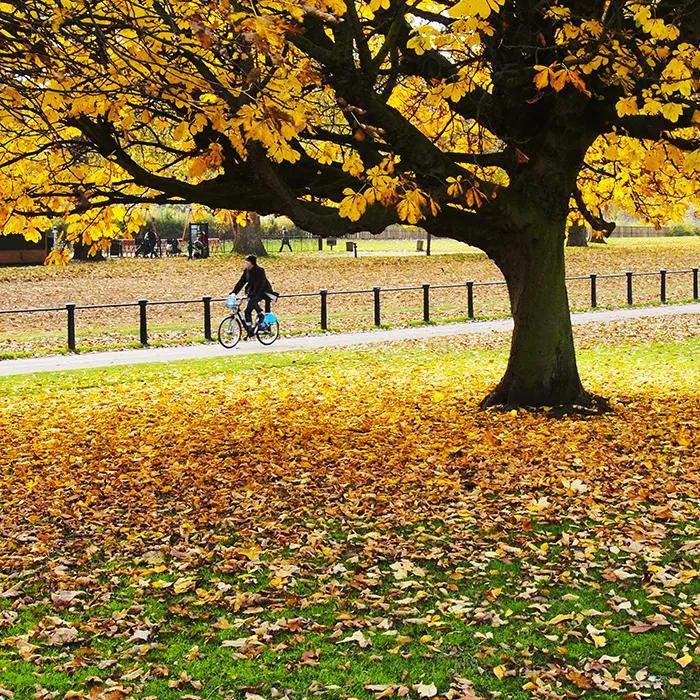 Cycling through Hyde Park