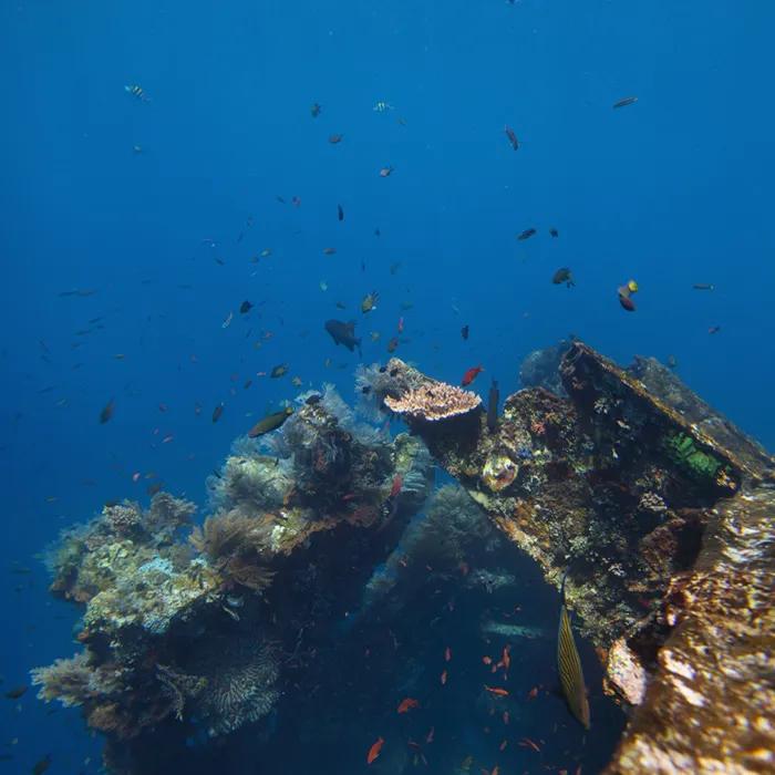 Wreck diving in Tulamben