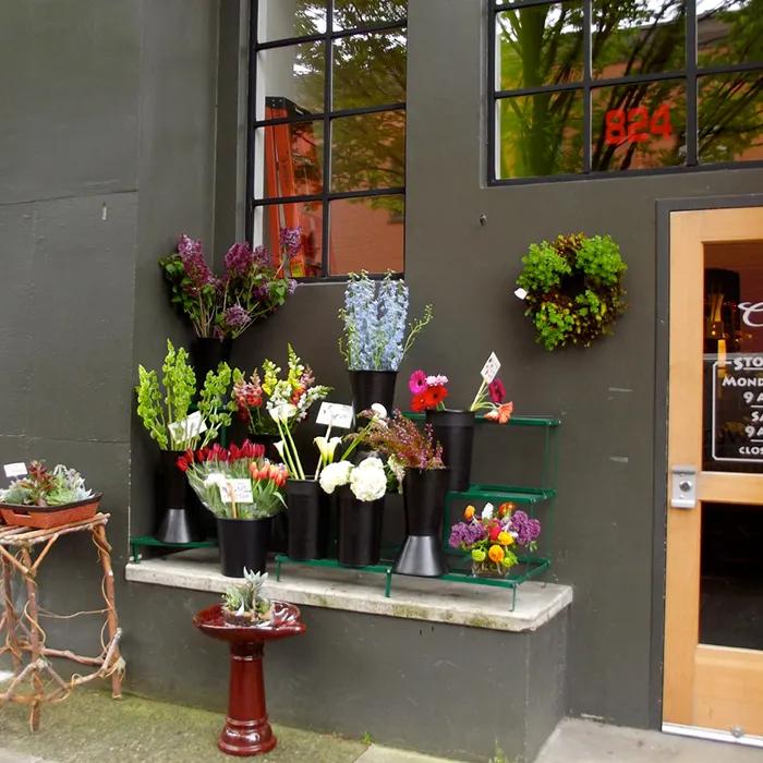 Characteristic ambiance of the Pearl District